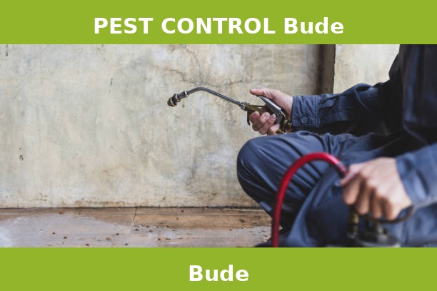 PEST CONTROL Bude